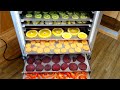 Обзор сушилки для овощей и фруктов ФлексиХИТ