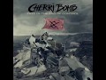 Cherri Bomb - Take This Now 