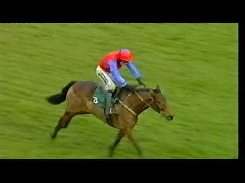 2009 David Nicholson Mares' Hurdle - Cheltenham Festival