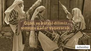 O-Zone -- Nu Ma Las de Limba Noastra / Türkçe Çeviri