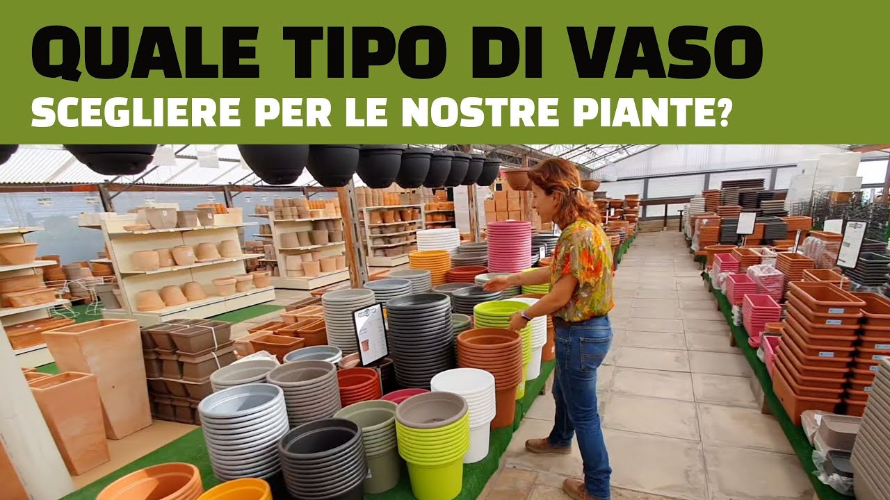 Watch Now Quale tipo di vaso scegliere per le nostre piante Quale tipo di vaso scegliere per le nostre piante