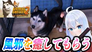 風邪を愛玩動物に癒してもらうわ【Animal Shelter 2】