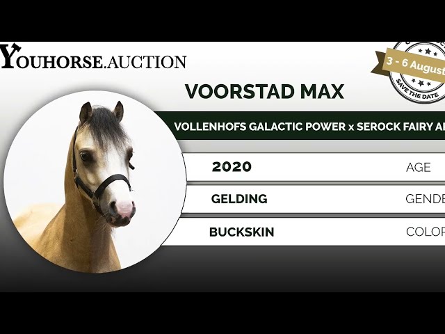 Voorstad Max