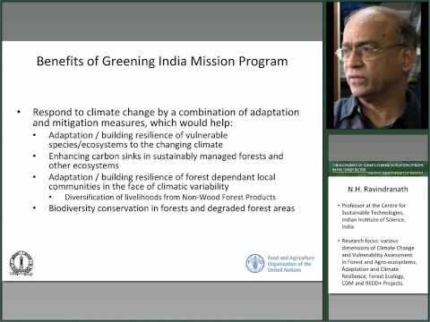 Costs and benefits of the Green India Mission for mitigation