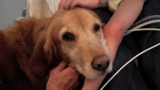 Serena Ryder - What I Wouldn&#39;t Do