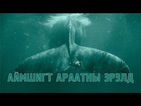 IN THE HEART OF SEA (2015) БОДИТ |ТҮҮХЭЭС СЭДЭЛЭСЭН КИНО