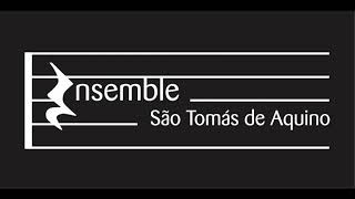 Lauda Jerusalem | Th. Decker (Ensemble STA)