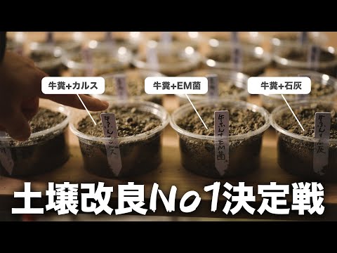 科学的に楽しく自給自足ch様　土づくり実験仕込みv-log動画