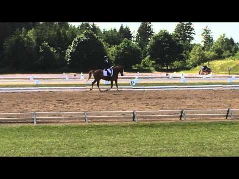 Hesselteichs Gentleman