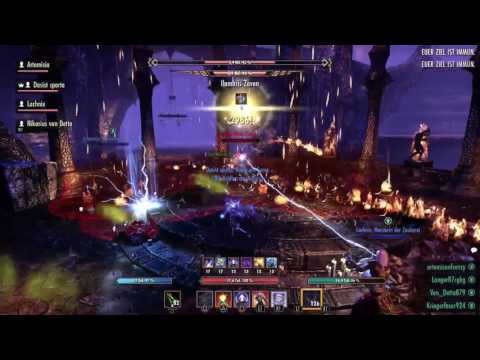 Eulen Lektion 1 Flächen