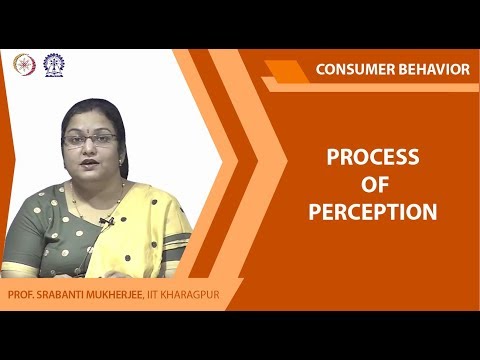 Process of Perception