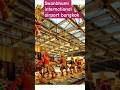 Swan Bhumi International Airport Bangkok God Vishnu Divine Story Of God Vishnu