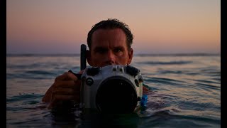 OluKai Shark Dive with Mike Coots