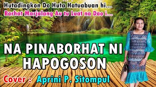Download lagu NAPINABORHAT NI HAPOGOSON - COVER: APRINI P SITOMPUL FEAT RAY GULTOM mp3 Download lagu NAPINABORHAT NI HAPOGOSON - COVER: APRINI P SITOMPUL FEAT RAY GULTOM mp3