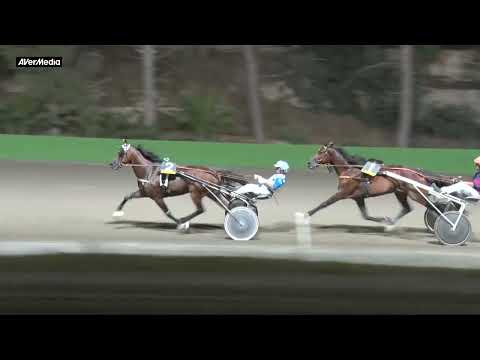 8° corsa - martedì 28 giugno 2022