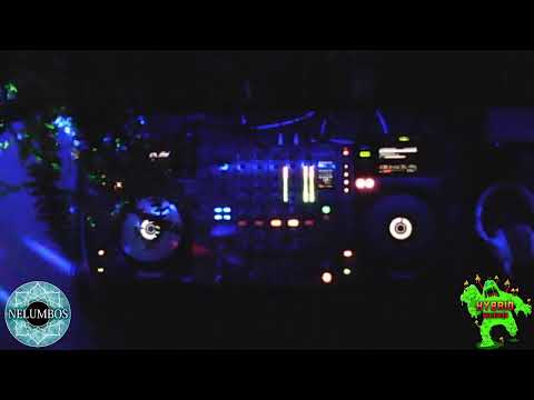 Nelumbos LIVE @ Quarantine Selections #1