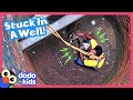 Dog Falls In Well And Needs A Whole Team Of Rescuers To Get Out Dodo Kids Rescued