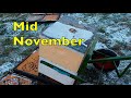 Mid November Beekeeping Chores