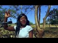 Wamushilo NG Exalters New Zambian Gospel Music 2019 Www ZambianMusic Net
