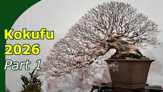 Download lagu Kokufu ten Japans Best Bonsai (first show) #bonsaijapan mp3 Download lagu Kokufu ten Japans Best Bonsai (first show) #bonsaijapan mp3