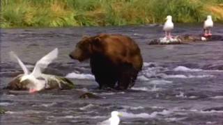 i want your girl-to short (random)