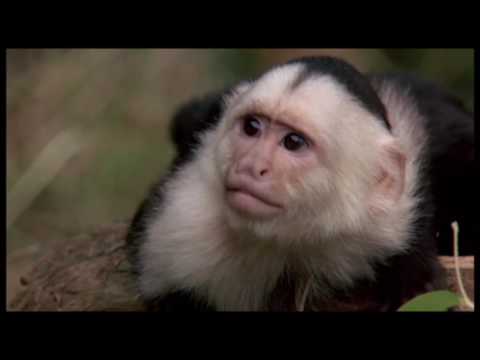 Pantoffel-TV 86 (u.a. Dustin Hoffmann Special)