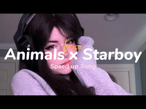 Animals x Starboy (lyrics) (speedup) (tiktok remix)