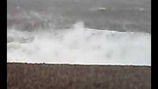 Chesil Beach Fozzy n Joey