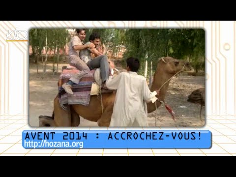 Cathobuzz du 28 novembre 2014