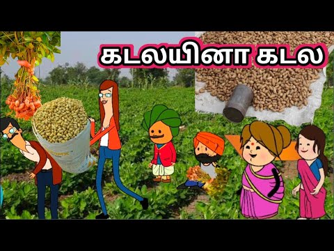 கடலையினா கடல கரிச காட்டு / poomari schoolcomedy/chinna ponnu kumari funny video/Kumari story tamil