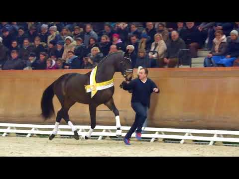 Hengstschau 2018 | Ferienhof Stücker