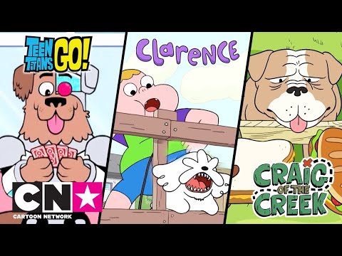 Tini titánok, harcra fel! + Clarence + Vadócok | Ki ne szeretné a kutyákat? | Cartoon Network