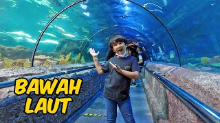 Download lagu WOW!! Aquarium Raksasa Bawah Laut di Seaworld Ancol | Superduper Ziyan mp3 Download lagu WOW!! Aquarium Raksasa Bawah Laut di Seaworld Ancol | Superduper Ziyan mp3