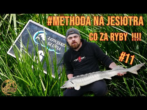 #Methoda na Jesiotra - Co za Ryby !!!! | Łowisko Słupia | #Vlog 11