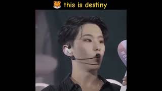 Download lagu Hoshi said being in the same team with Woozi is destiny 😆 #hoshi #woozi #seventeen mp3 Download lagu Hoshi said being in the same team with Woozi is destiny 😆 #hoshi #woozi #seventeen mp3