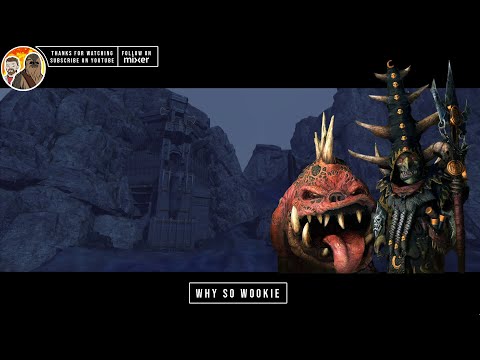 WARHAMMER 2 QUEST BATTLE (SKARSNIK - SKARSNIK'S PRODDER - AMBUSH AT KARAK EIGHT PEAKS)