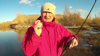 Мультипликаторная катушка писцифан