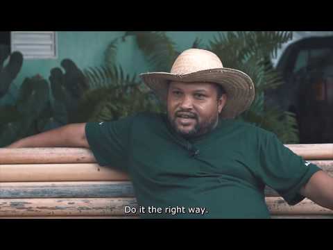 Coletores de Sementes Nativas do Cerrado (vídeo legendado em inglês)
