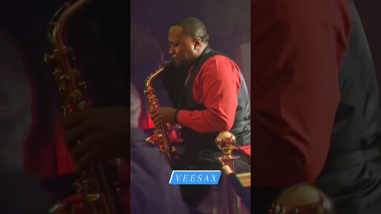 Promotional video thumbnail 2 for Veesax or A Saxual Experience