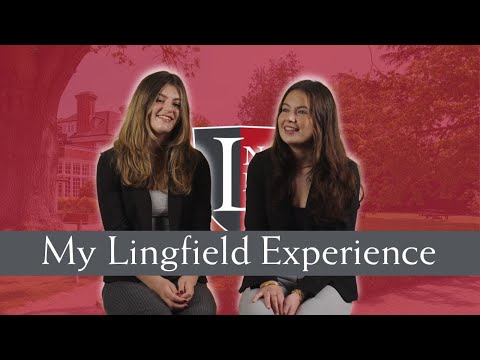 My Lingfield Experience - Interviews with Students