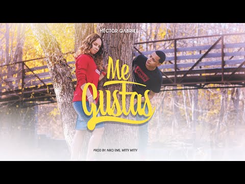 Héctor Gabriel - Me Gustas (Official Video)