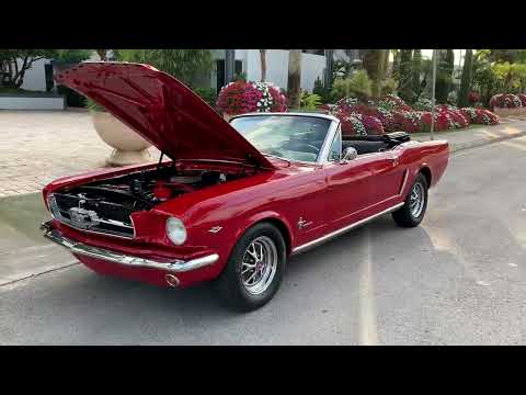 1965 Ford Mustang (CC-1575874) for sale in Miami, Florida