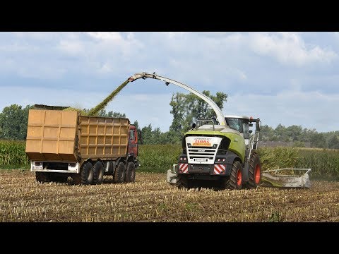 Claas Jaguar 970-type 498 - Loonbedrijf Neyt - mais hakselen