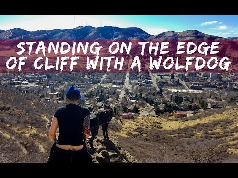 On the Edge of a Cliff with a Wolfdog