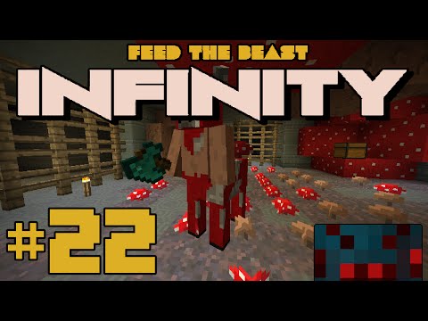 FTB Infinity SMP [22] MEEF MAN