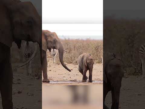 海底深く: 研究者らが地球の気候に対する「時限爆弾」を発見
