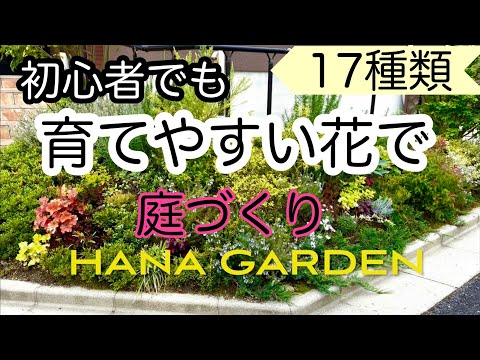 せっかちな花植物 育てやすい 夏の間ずっとメンテナンス不要の花畑