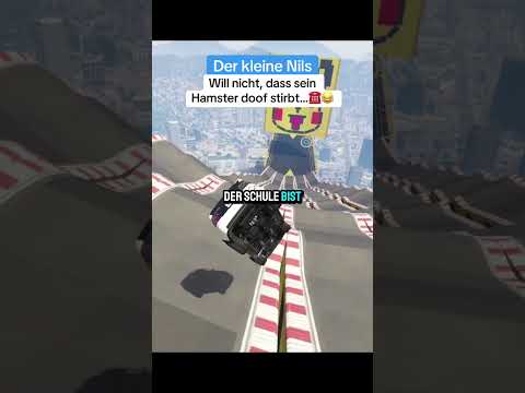 Der kleine Nils will nicht, dass sein Hamster doof stirbt… #telefonstreich #funny #fürdichpage