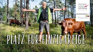 Metropolregion Nürnberg: Platz für Einzigartige in Amberg-Sulzbach