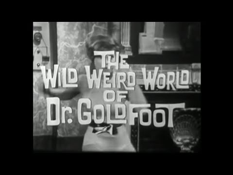 The Wild Weird World of Dr. Goldfoot - Shindig!